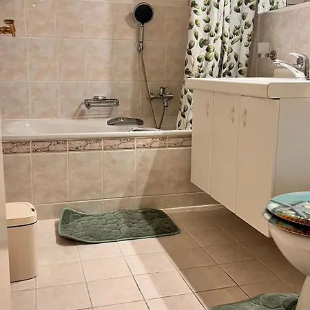 Bel Lumineux Gare Deux Pieces & Cuisine Separee Apartamento Monthey