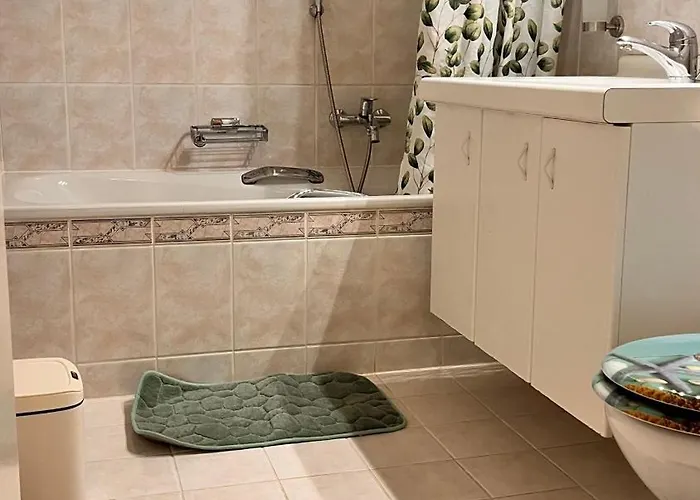 Bel Lumineux Gare Deux Pieces & Cuisine Separee Apartmán Monthey